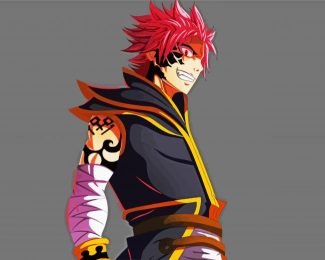 Natsu Dragneel Fairy Tail Anime diamond painting