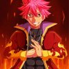 Natsu Fairy Tail Anime diamond painting