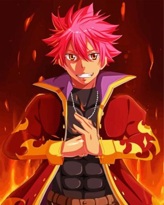 Natsu Fairy Tail Anime diamond painting