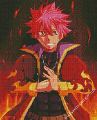 Natsu Fairy Tail Anime diamond painting