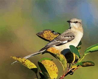 Northern Mockingbird On Plants diamond painting