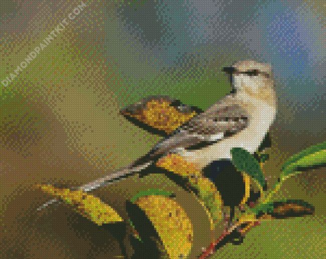 Northern Mockingbird On Plants diamond painting