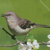 Northern Mockingbird On Stick diamond painting