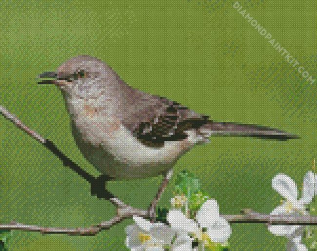 Northern Mockingbird On Stick diamond painting