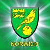 Norwich Logo diamond painting