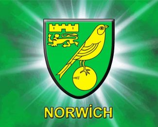 Norwich Logo diamond painting