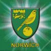 Norwich Logo diamond painting