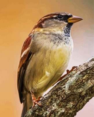 Old World sparrows diamond painting