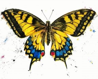 Old World Swallowtail Butterfly diamond painting