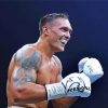 Oleksandr Usyk Boxer diamond painting