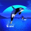 Orca Jumping diamond painting