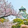 Osaka Castle Cherry Blossom diamond painting