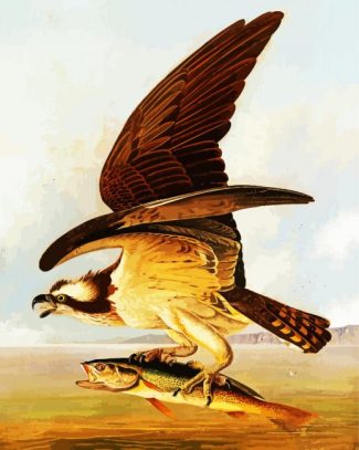 Osprey And Weakfish By John James Audubon diamond painting