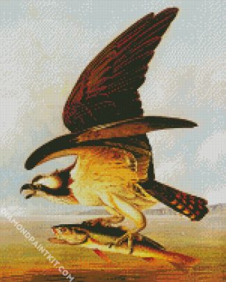 Osprey And Weakfish By John James Audubon diamond painting