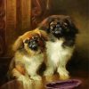 Pekingese Dogs diamond painting