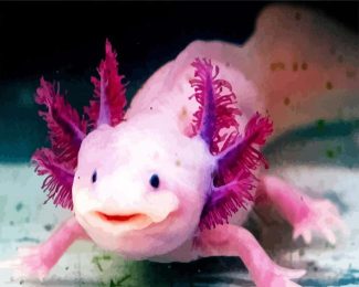 Pink Axolotl diamond painting