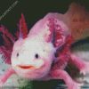 Pink Axolotl diamond painting