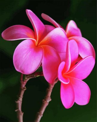 Pink Plumeria diamond painting