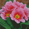 Pink Primrose diamond painting