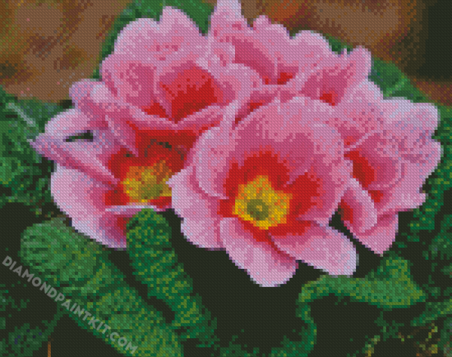 Pink Primrose diamond painting