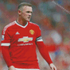 Player Wayne Rooney diamond painting