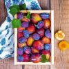 Plums Fruit diamond painting