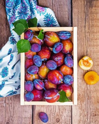 Plums Fruit diamond painting