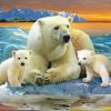 Polar Bear Family diamond painting