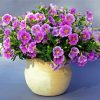 Purple Petunia Vase diamond painting