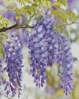 Purple Wisteria Flower diamond painting