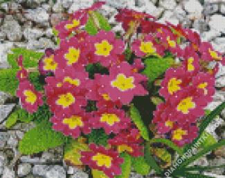 Purple Primrose diamond painting