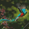 Quetzal Bird Flying diamond painting