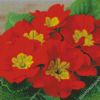 Red Primrose diamond painting