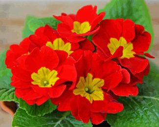 Red Primrose diamond painting