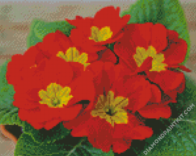 Red Primrose diamond painting