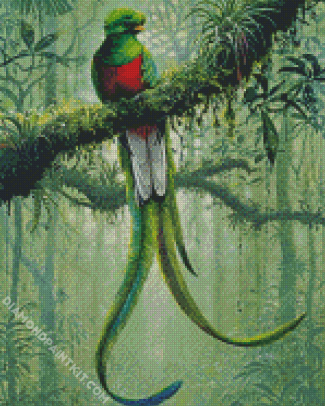 Resplendent Quetzal diamond painting