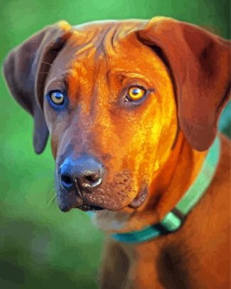 Ridgeback Animal diamond painting