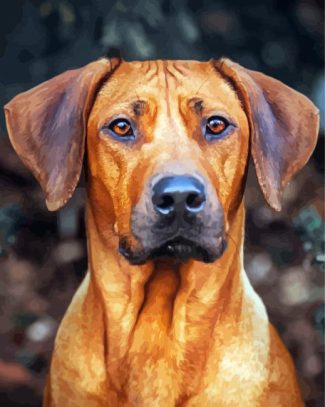 Ridgeback Dog diamond painting