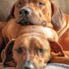 Ridgeback Puppies diamond painting