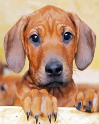 Ridgeback Puppy diamond painting