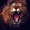 Roaring Lion diamond painting