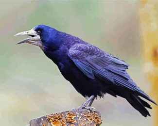 Rook Bird diamond painting