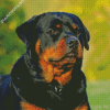 Rottweiler Dog diamond painting