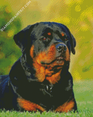 Rottweiler Dog diamond painting