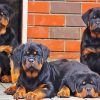 Rottweiler Family diamond painting