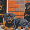 Rottweiler Family diamond painting