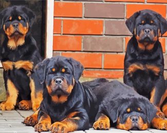 Rottweiler Family diamond painting