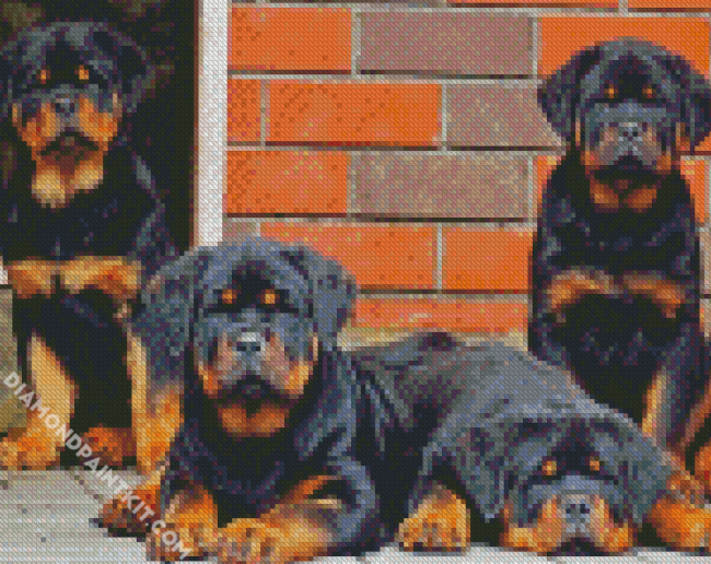 Rottweiler Family diamond painting