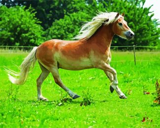 Running Pony In Field diamond painting