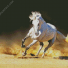 Running White Andalusian Horse diamond painting